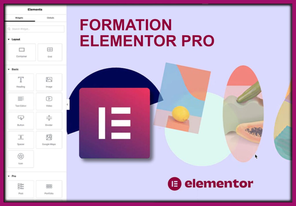 Formation wordpress elementor PRO